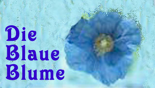 Die blaue Blume